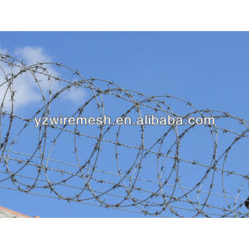 hot sale razor barbed wire of factory